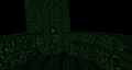 Thumbnail for version as of 20:36, 24 September 2026