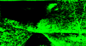 Path88482013.gif