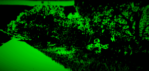 Path76155793.gif