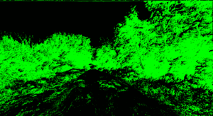 Path77283643.gif