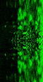 Thumbnail for version as of 14:59, 31 August 2026