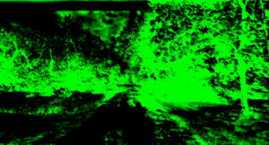 Path64620192.gif
