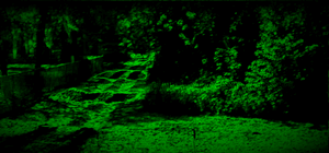 Path18402310.gif