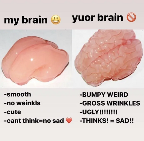 File:Idbrain.png