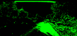 Path33423019.gif