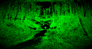 Path00125502.gif