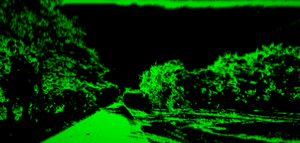 Path13324021.gif