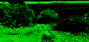 Path87235401.gif