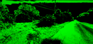 Path19333932.gif